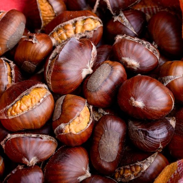 Roasted Chestnuts Fragrance Oil