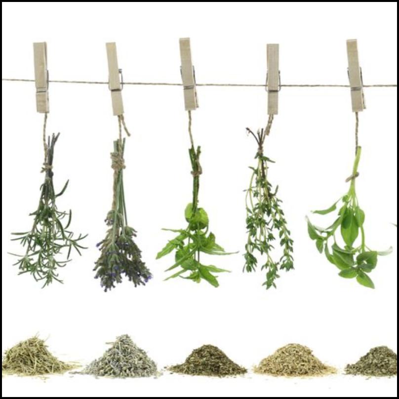 Herbs & Exfoliants